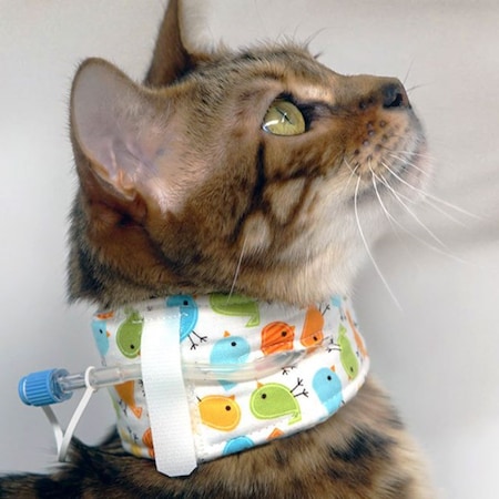 Jorgensen Kitty and Kanine Kollar, X-Small 381546